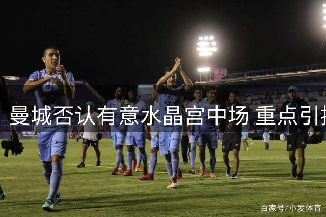 曼城否认有意水晶宫中场 重点引援目标另有其人